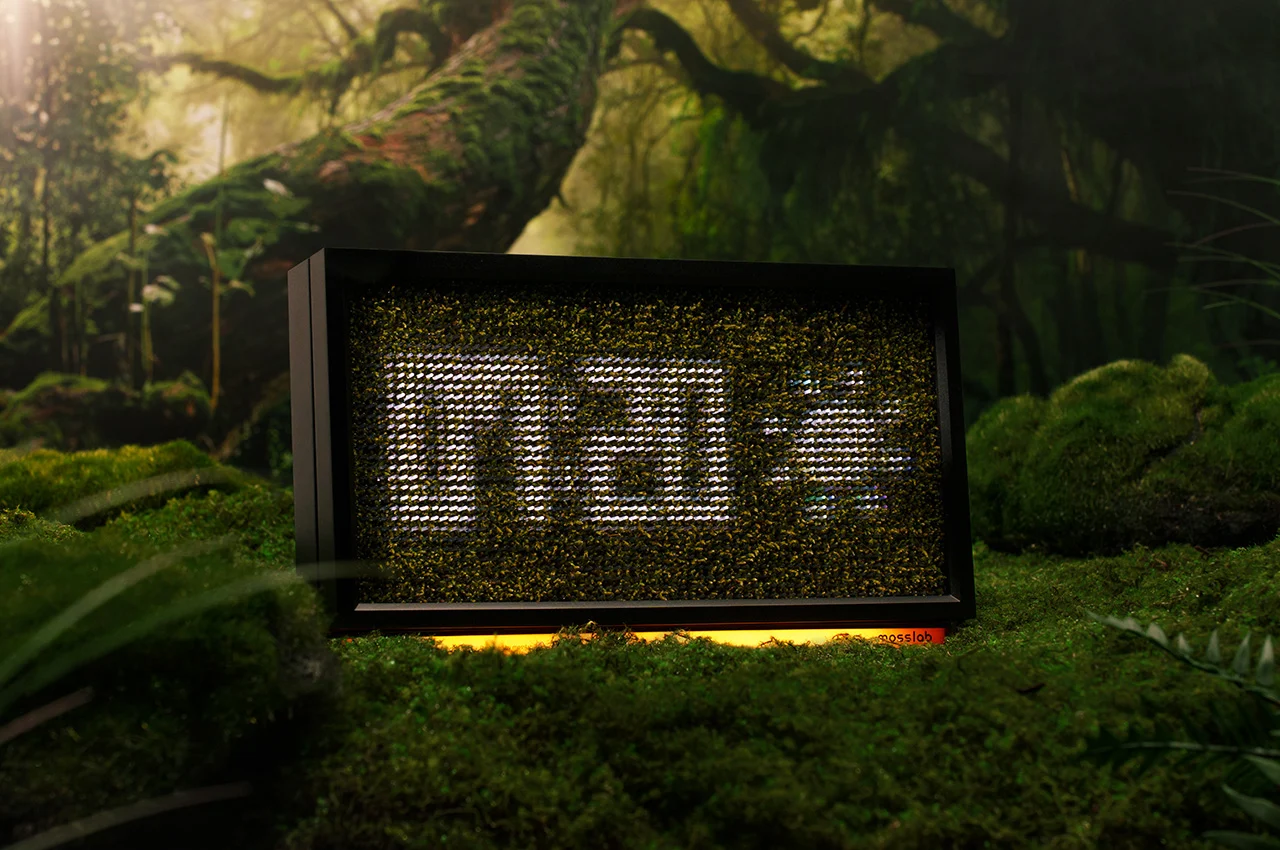 Moss Echo