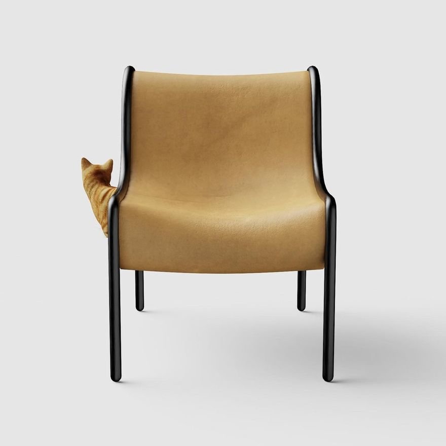 the cat-friendly furniture