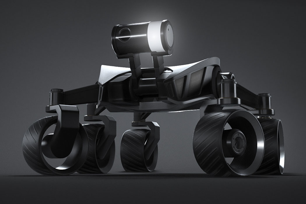 Bionic Mars Rover