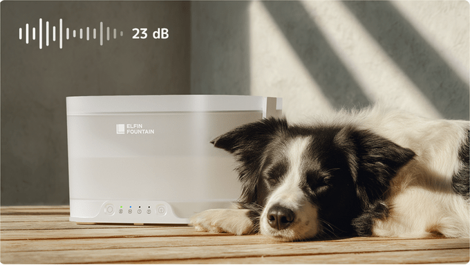 Elfin Fountain D1 Pro