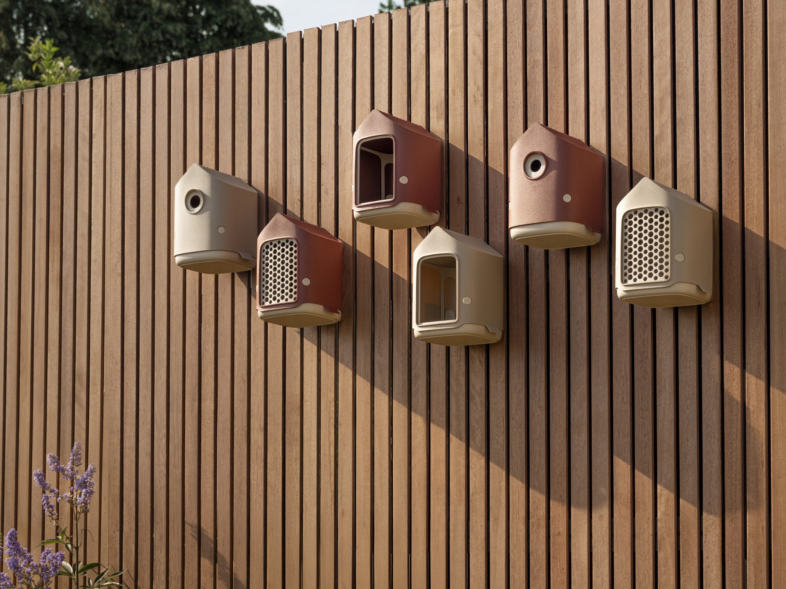 elho b’s — biodiversity collection