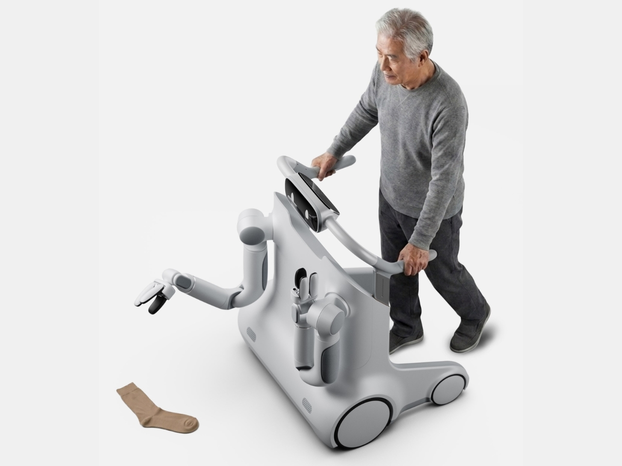 Smart AI Companion Concept